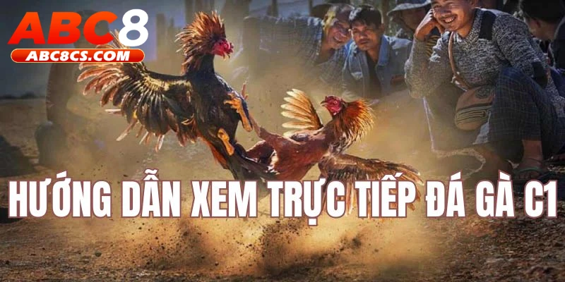 Hướng dẫn xem link trực tiếp đá gà ABC8